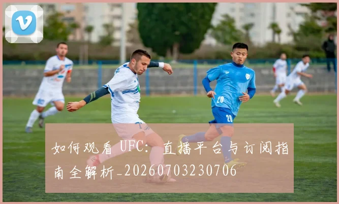 如何观看 UFC：直播平台与订阅指南全解析_20260703230706